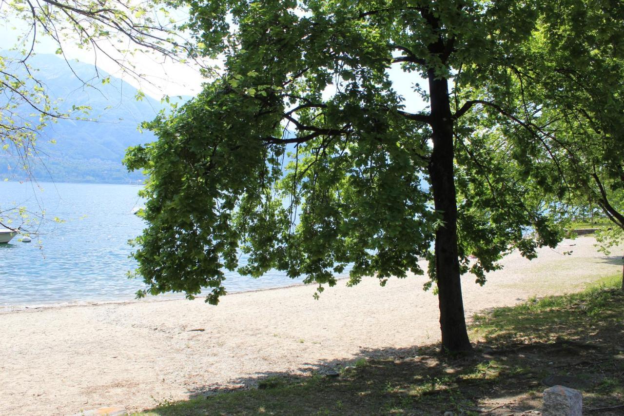 Appartamento con terrazza a due minuti dal lago Minusio Esterno foto